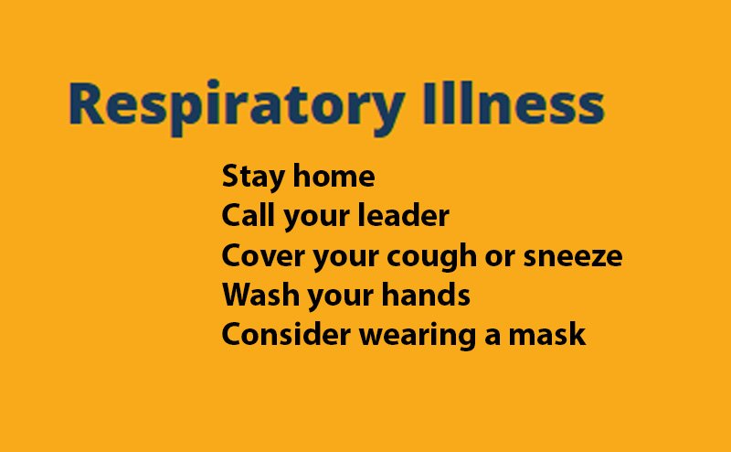 Respiratory Illness feature link to document