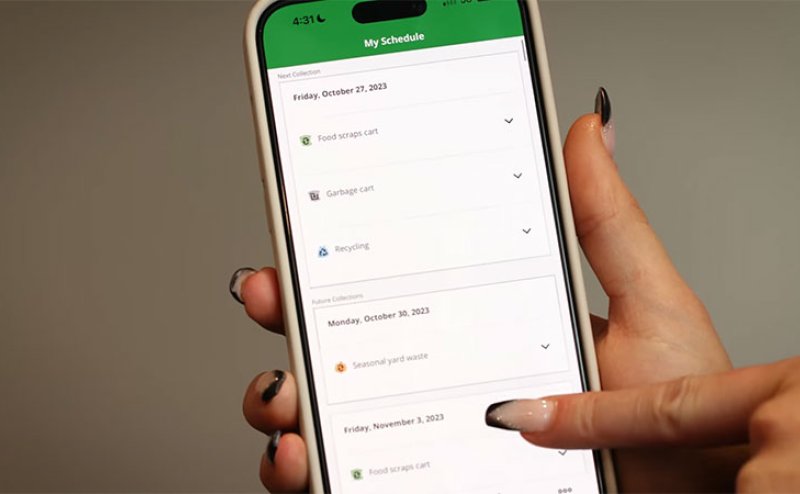 hand holding mobile phone