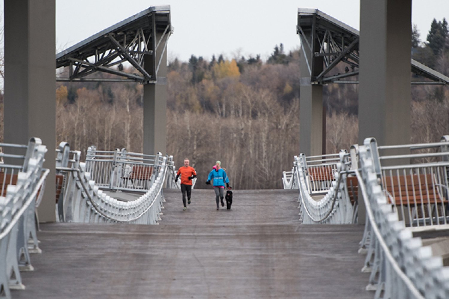 Runners with a dog crossing the bridge