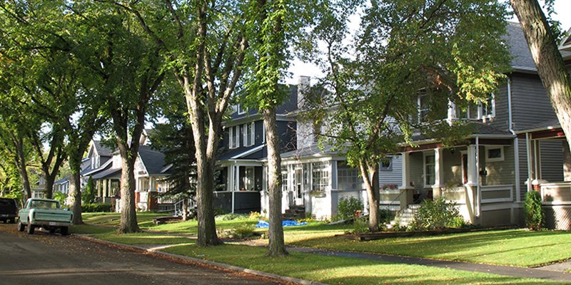 houses lined up on street with grass and trees
