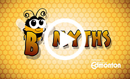 Myth #1: Bees are aggressive