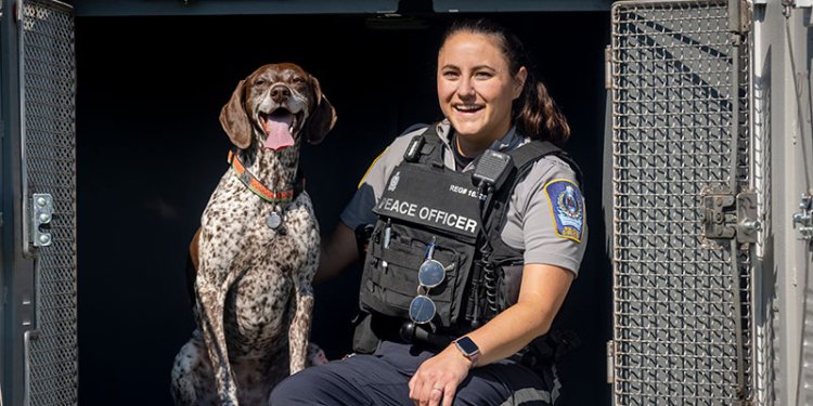 enforcement officer in van with dog
