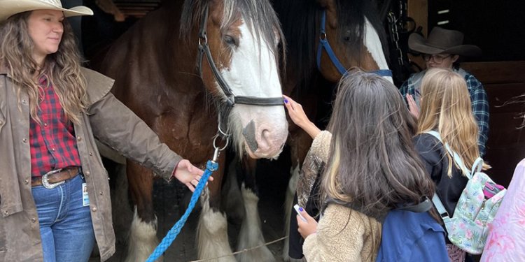 adult and kids in stable beside horse
