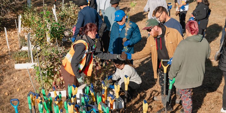 Aerial view of the plant handoff at the start of a planting.