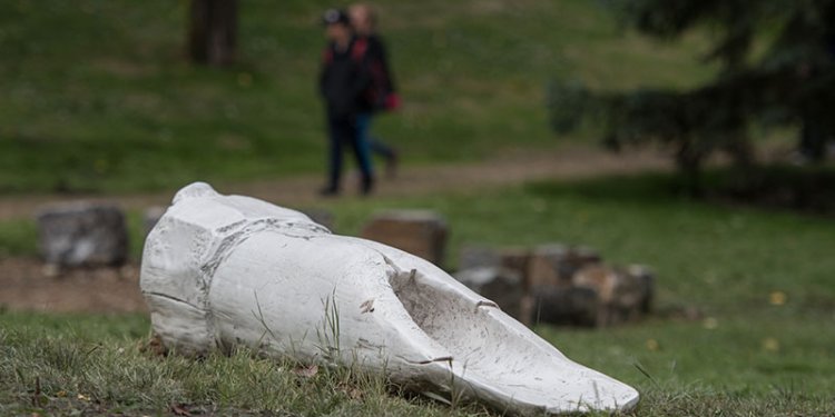 decorative bone art in grass in park