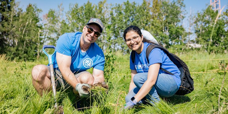 two persons in park planting tree saplings