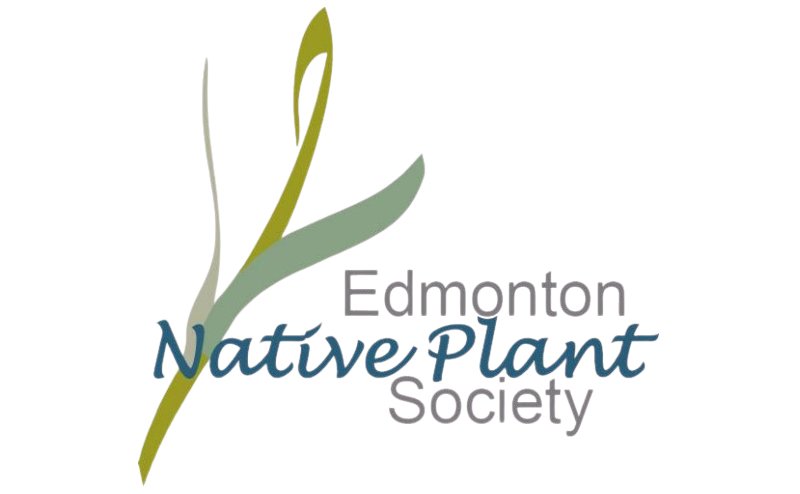 Edmonton Native Plant Society logo