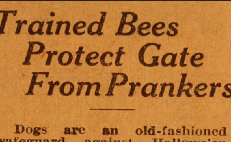 A preview of an old bulletin from 1928 titled "Trained Bees Protect Gate From Pranksters". This bulletin reports on an Edmonton man who used bees to avoid Halloween vandalism..