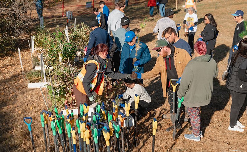 group of persons at a tree planting event