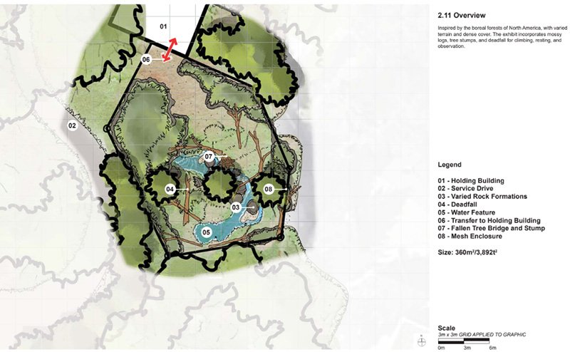 A design diagram featuring the layout of the renewed and enhanced Canada lynx habitat. With varied terrain and dense natural cover, this habitat is inspired by North American boreal forests. This habitat has grass, trees and a water feature. Tree stumps, deadfall and mossy logs encourage climbing, resting, and observation.