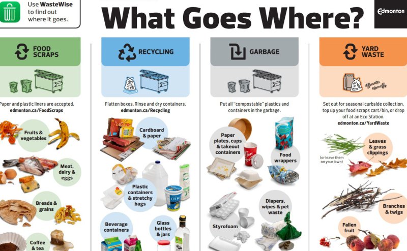 What goes where poster